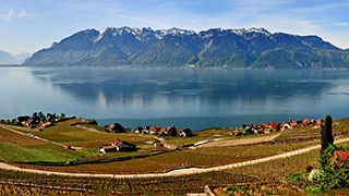 Lavaux s'inscrit au Patrimoine mondial de l'Unesco